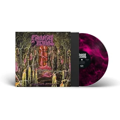 Abbildung von Embalmed in Decay (Trans Magenta/Black Marbled Lp) [Vinyl LP]