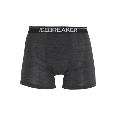 Abbildung von Icebreaker Anatomica Panties, Herren, Größe: Large, Jet heather