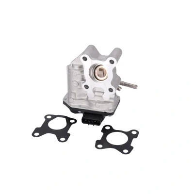 Abbildung von FEBI BILSTEIN 177332 AGR Ventil mit Dichtung NISSAN: NP300 Navara Pickup