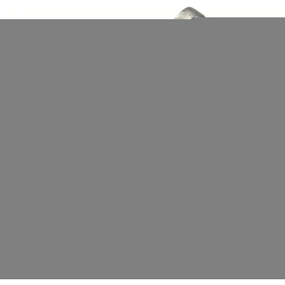 Abbildung von TRW BDA996 Bremssattelhalter RENAULT: MEGANE 3 Grandtour