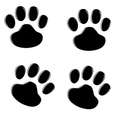 Abbildung von NewL 4PCS Schwarz 3D Chrom Hundepfote Footprint Aufkleber Auto Emblem Dekoration (Schwarz)