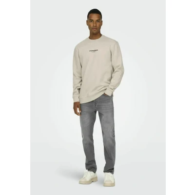 Abbildung von ONLY &amp; SONS Sweatshirt »ONSCURATED REG CREW NECK SWEAT«