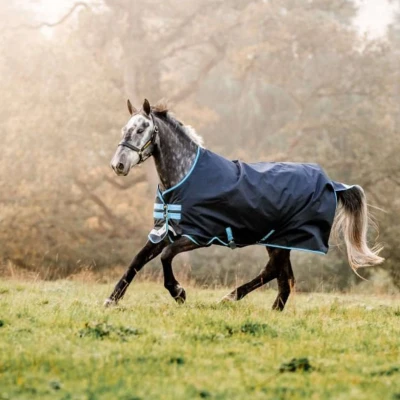 Abbildung von Amigo by Horseware Bravo 12 Turnout 100g Navy Türkis 145/198