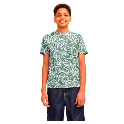 Abbildung von Jack &amp; Jones Junior Jorlafayette CREW NECK Tshirt print für Kinder, Größe: 152, Laurel wreath
