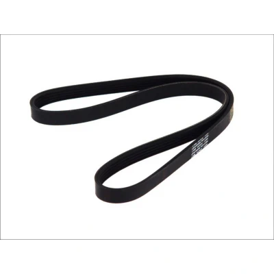 Abbildung von Keilrippenriemen DT Spare Parts 6.31501