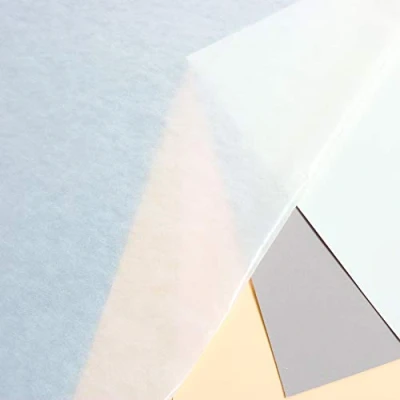 Abbildung von Clairefontaine 93478C Packung (mit 20 Bögen Pergaminpapier 45 g, 50 x 65 cm, 100% recyclingfähig, zum Schutz von zwei Pastellblättern oder als Zwischenblätter Herbarien geeignet) transparent