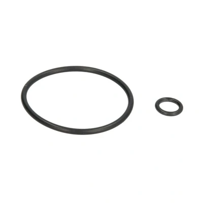 Abbildung von Reparatursatz, Kraftstoffpumpe AJUSA 77012600