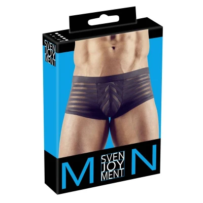 Abbildung von Pants im Streifen Look