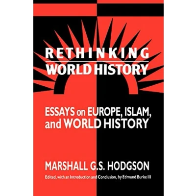 Abbildung von Rethinking World History: Essays on Europe, Islam, and History (Studies in Comparative History)