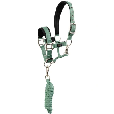 Abbildung von BR Halfterset Mini Horse Feldspar