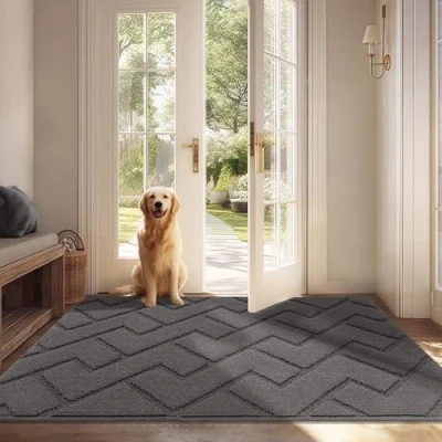 Abbildung von Biscpro Fußmatte Grau 80x120cm Innen und Außen, Waschbar Fussmatte, Wasserdicht Türmatte, Rutschfester Schmutzfänger Teppich für Eingang, Haustür, Patio, Flur, Garten