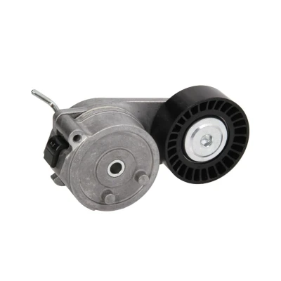 Abbildung von DAYCO APV2799 Riemenspanner
