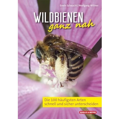 Abbildung von Wildbienen ganz nah: Die 100 häufigsten Arten schnell und sicher unterscheiden