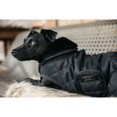 Abbildung von Kentucky Hundejacke Original Royal Schwarz 62cm
