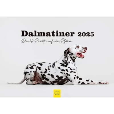 Abbildung von Edition Seidel Premium Kalender Dalmatiner dunkle Punkte auf vier Pfoten 2025 Format DIN A3 Wandkalender Hundekalender Hunde Haustiere Hunderasse Welpen