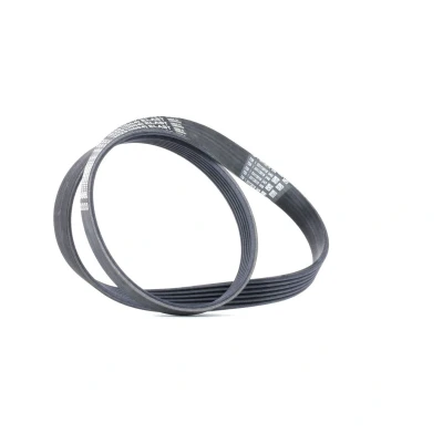Abbildung von CONTITECH 6PK1029 ELAST Keilrippenriemen 1029 6 FORD: FIESTA 6, MONDEO 4, B Max