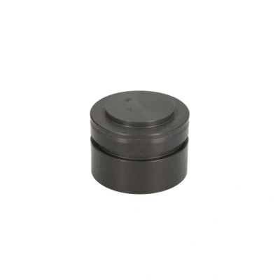 Abbildung von Reparaturteile, Einspritzpumpe BOSCH 1 460 521 303