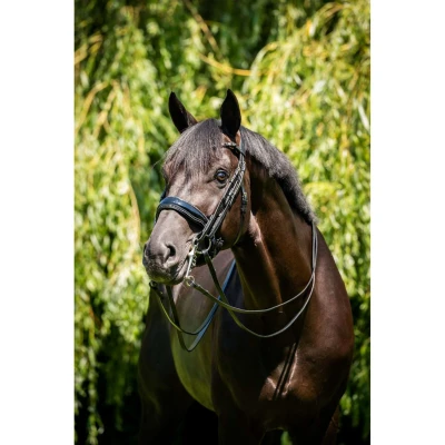Abbildung von HB Showtime Double Bridle Special for You