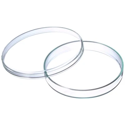 Abbildung von neoLab Borosilikatglas Petrischalen Anumbra, Transparent, 100mm Durchmesser, 15mm Höhe, 5 Stück