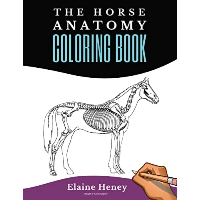 Abbildung von Horse Anatomy Coloring Book For Adults Self Assessment Equine Workbook: Test Your Knowledge Equestrians &amp; Veterinary Students