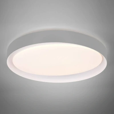 Abbildung von Reality Leuchten LED Deckenleuchte Zeta R62712411, Kunststoff grau oder weiß, inkl. 24 Watt LED, Fernbedienung