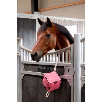 Abbildung von HB Showtime Horse Toys Cube