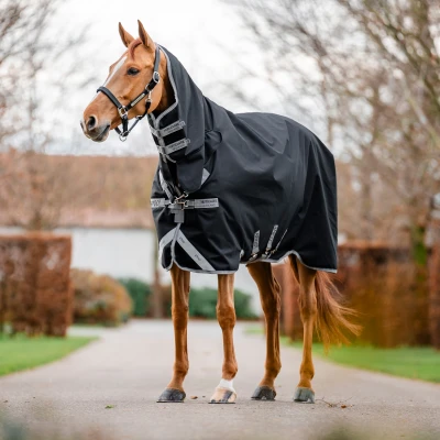 Abbildung von Amigo 1200D Integrated Turnout