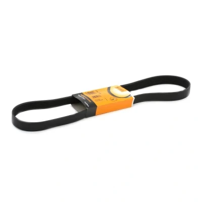 Abbildung von CONTITECH 7PK1125 Keilrippenriemen 1125 7 RENAULT: MEGANE 2, SCENIC 3 Grandtour, NISSAN: Juke