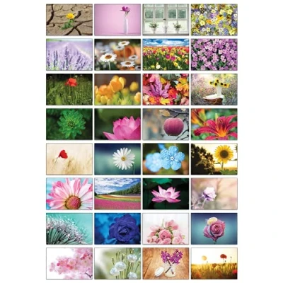 Abbildung von the lazy panda card company Auswahl an Natur Postkarten: 32 Postkarten in verschiedenen Naturmotiven (Hübsche Blumen)
