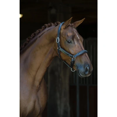 Abbildung von HB Showtime Halfter World Wide Braun Warmblut