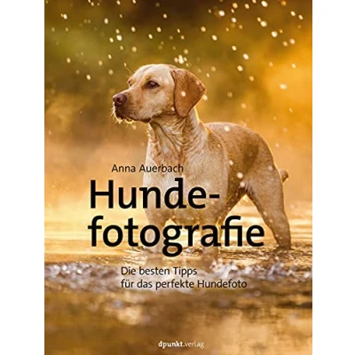 Abbildung von Hundefotografie: Die besten Tipps für das perfekte Hundefoto