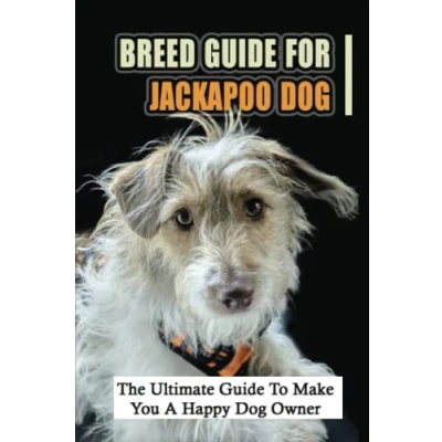 Abbildung von Breed Guide For Jackapoo Dog: The Ultimate To Make You A Happy Dog Owner
