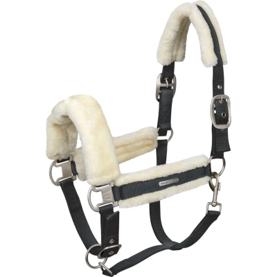 Abbildung von Waldhausen Halfter Soft Schwarz Pony