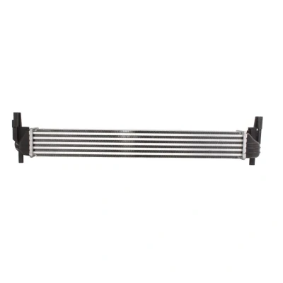 Abbildung von THERMOTEC DAA005TT Ladeluftkühler 640 82 64 SEAT: Ibiza 4 Sportcoupe, VOLKSWAGEN: Polo V Hatchback