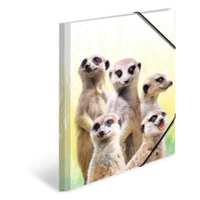 Abbildung von HERMA 19971 Sammelmappe DIN A3 Exotische Tiere Erdmännchentruppe, 3er Set, stabiler Kunststoff, Ordnungsmappe mit bedruckten Innenklappen und Gummizug, Dokumentenmappe für Kinder, Jungen Mädchen