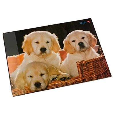 Abbildung von Läufer 46581 Schreibtischunterlage Hunde, 53x40 cm, rutschfeste Schreibunterlage für Kinder, Zubehör Kinderschreibtisch, mit transparenter Seitentasche