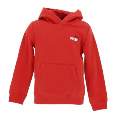 Abbildung von PUMA Kapuzensweatshirt »ESS 2 COLOR SMALL NO. 1 LOGO HOODIE FL B«