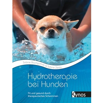 Abbildung von Hydrotherapie bei Hunden: Fit und gesund durch therapeutisches Schwimmen
