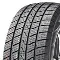 Abbildung von Royal Black A/s 195/55 R16 91V XL
