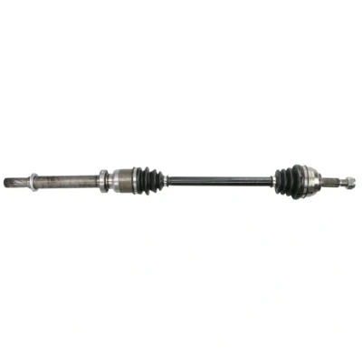 Abbildung von Antriebswelle PASCAL G2R090PC
