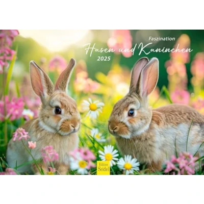 Abbildung von Edition Seidel Premium Kalender Faszination Hasen und Kaninchen 2025 Format DIN A3 Wandkalender Tierkalender Wildtiere Waldtiere Haustiere Tier Kinder