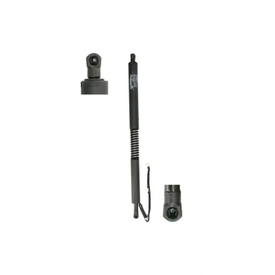 Abbildung von Elektromotor, Heckklappe POWERISE® STABILUS 411835