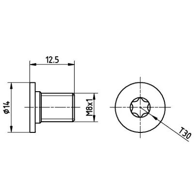 Abbildung von TEXTAR TPM0002 Schraube, Bremsscheibe MERCEDES BENZ: A Class, C Class Coupe, E Saloon, VOLKSWAGEN: Crafter 30 35 Minibus