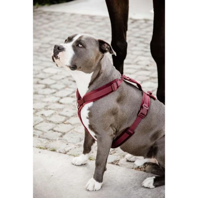 Abbildung von Kentucky Geschirr Active Velvet Bordeaux
