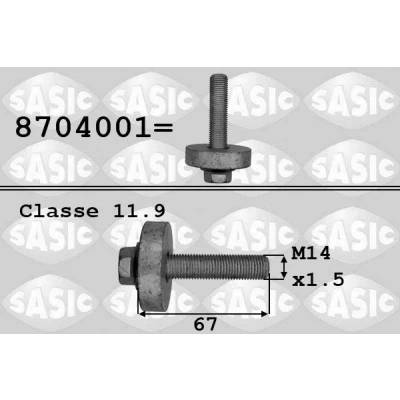 Abbildung von SASIC 8704001 Riemenscheibenschraube RENAULT: Clio 2, 4, DACIA: Logan I Pickup