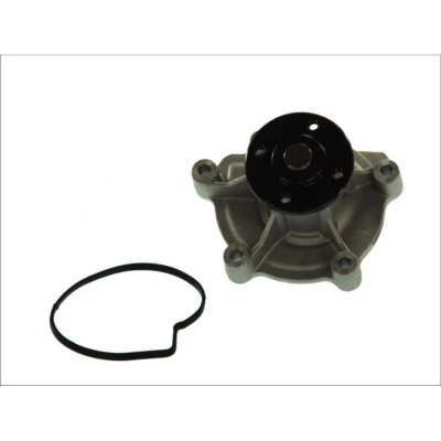 Abbildung von THERMOTEC D1M045TT Wasserpumpe mit Dichtung mechanisch