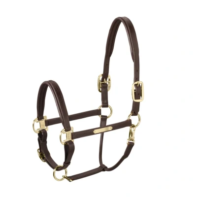 Abbildung von Eskadron Halfter Elegance Leder Dunkelbraun Vollblut