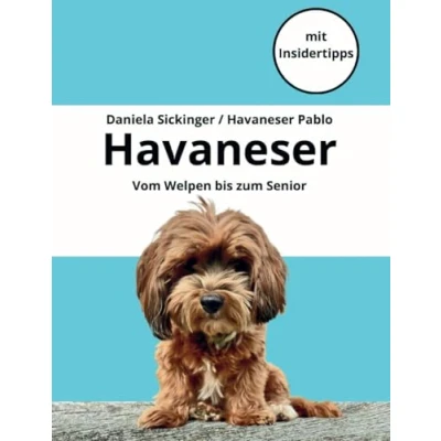 Abbildung von Havaneser Vom Welpen bis zum Senior: Alles, was du über die Hunderasse wissen musst mit Insidertipps
