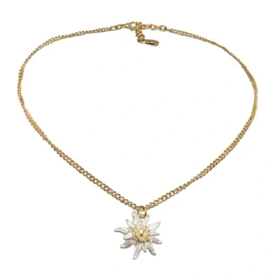 Abbildung von Alpenflüstern Metall Trachtenkette Greta mit Strass Edelweiß klein Damen Trachtenschmuck, Dirndlkette (antik gold farben) DHK273