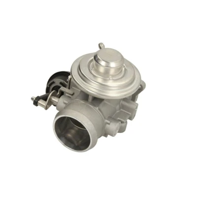 Abbildung von MAGNETI MARELLI 571822112048 AGR Ventil SKODA: Octavia 1 Combi, Fabia I Hatchback, VOLKSWAGEN: Polo IV SEAT: Ibiza 3